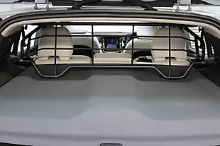 Used 2019 Volvo XC40 Momentum Pro Blue - Interior and Exterior details 11