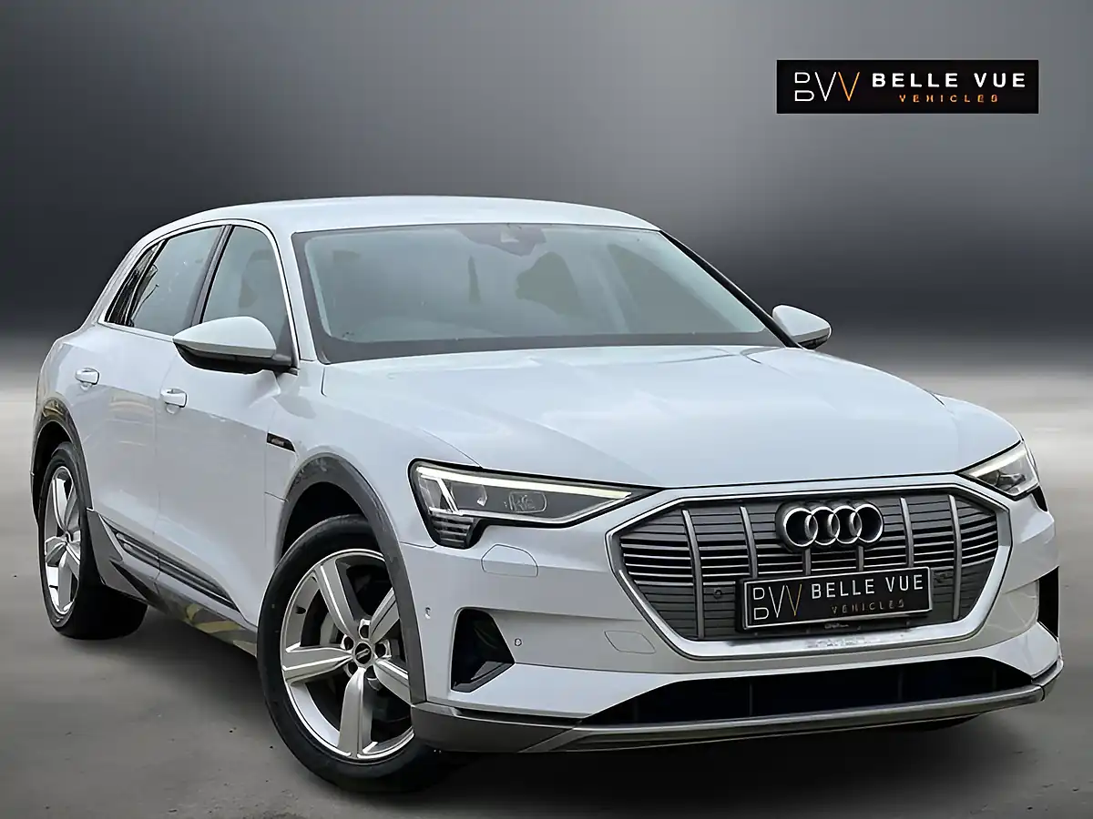 Used 2020 Audi E-Tron Technik Glacier White - Front View