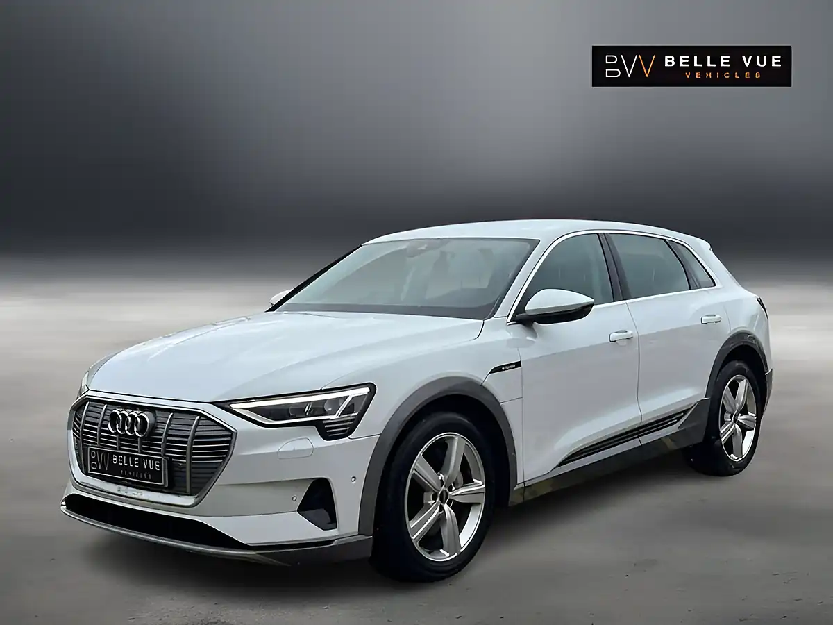 Used 2020 Audi E-Tron Technik Glacier White - Interior and Exterior details 6