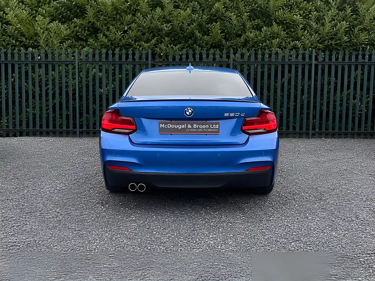 Used 2020 BMW 2 Series M Sport Estoril Blue - Interior and Exterior details 5