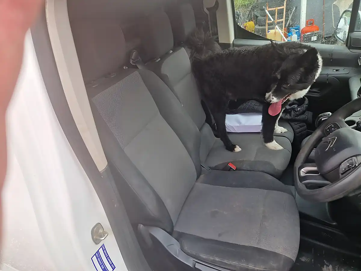 Used 2020 Citroen Berlingo Driver White - Interior and Exterior details 17