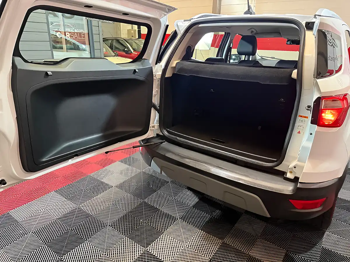 Used 2020 Ford Ecosport Titanium White - Interior and Exterior details 19
