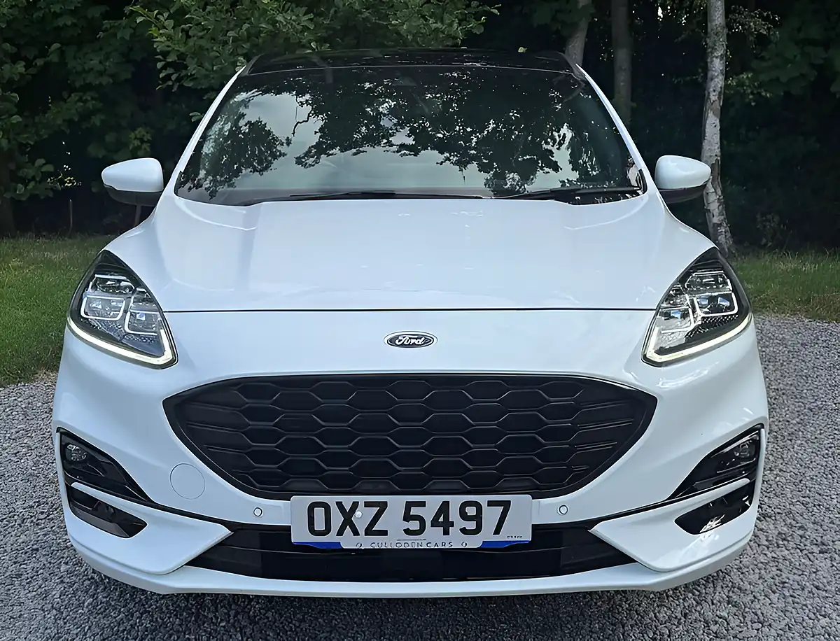 Used 2020 Ford Kuga ST-Line X Frozen White - Interior and Exterior details 8