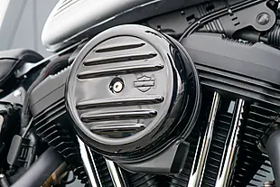 Used 2020 Harley-Davidson XL1200NS Iron Barracuda Silver - Interior and Exterior details 11