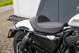 Used 2020 Harley-Davidson XL1200NS Iron Barracuda Silver - Interior and Exterior details 12