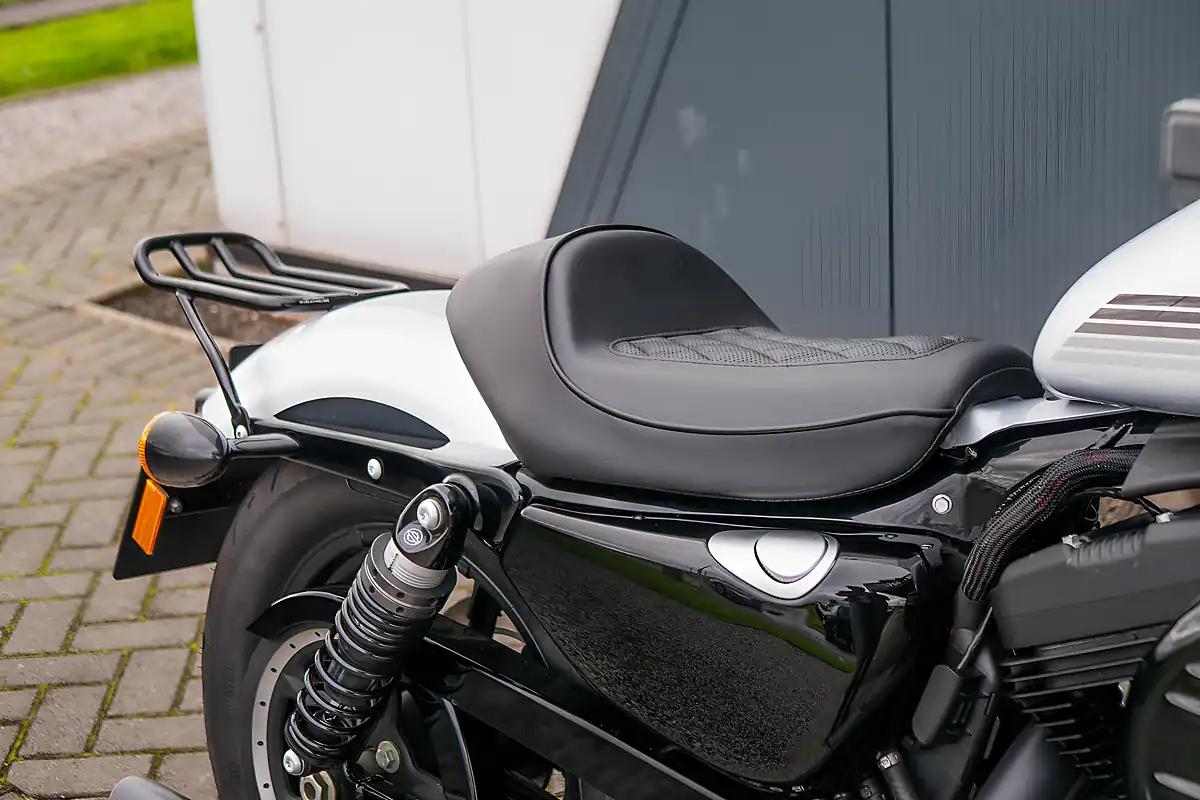 Used 2020 Harley-Davidson XL1200NS Iron Barracuda Silver - Interior and Exterior details 12