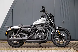 Used 2020 Harley-Davidson XL1200NS Iron Barracuda Silver - Interior and Exterior details 4