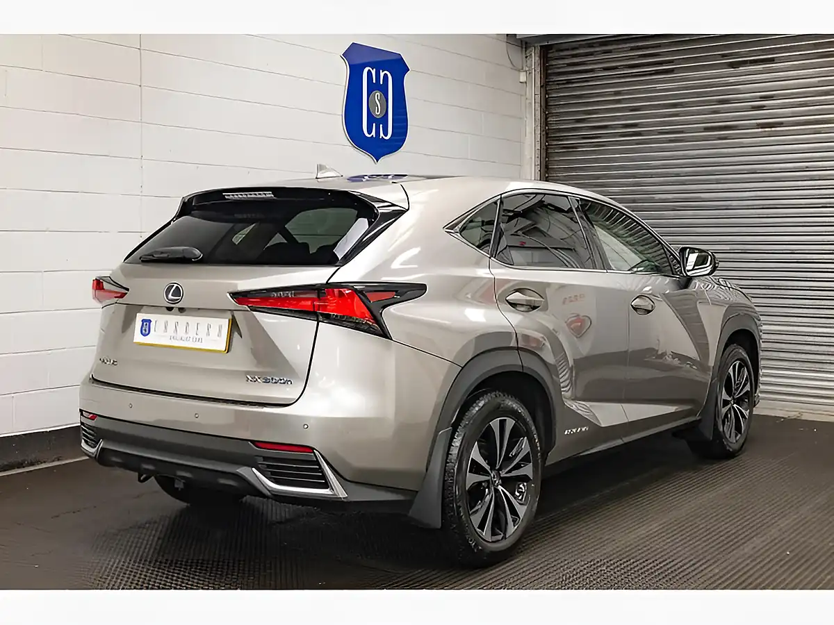 Used 2020 Lexus Nx Premium Silver - Interior and Exterior details 6