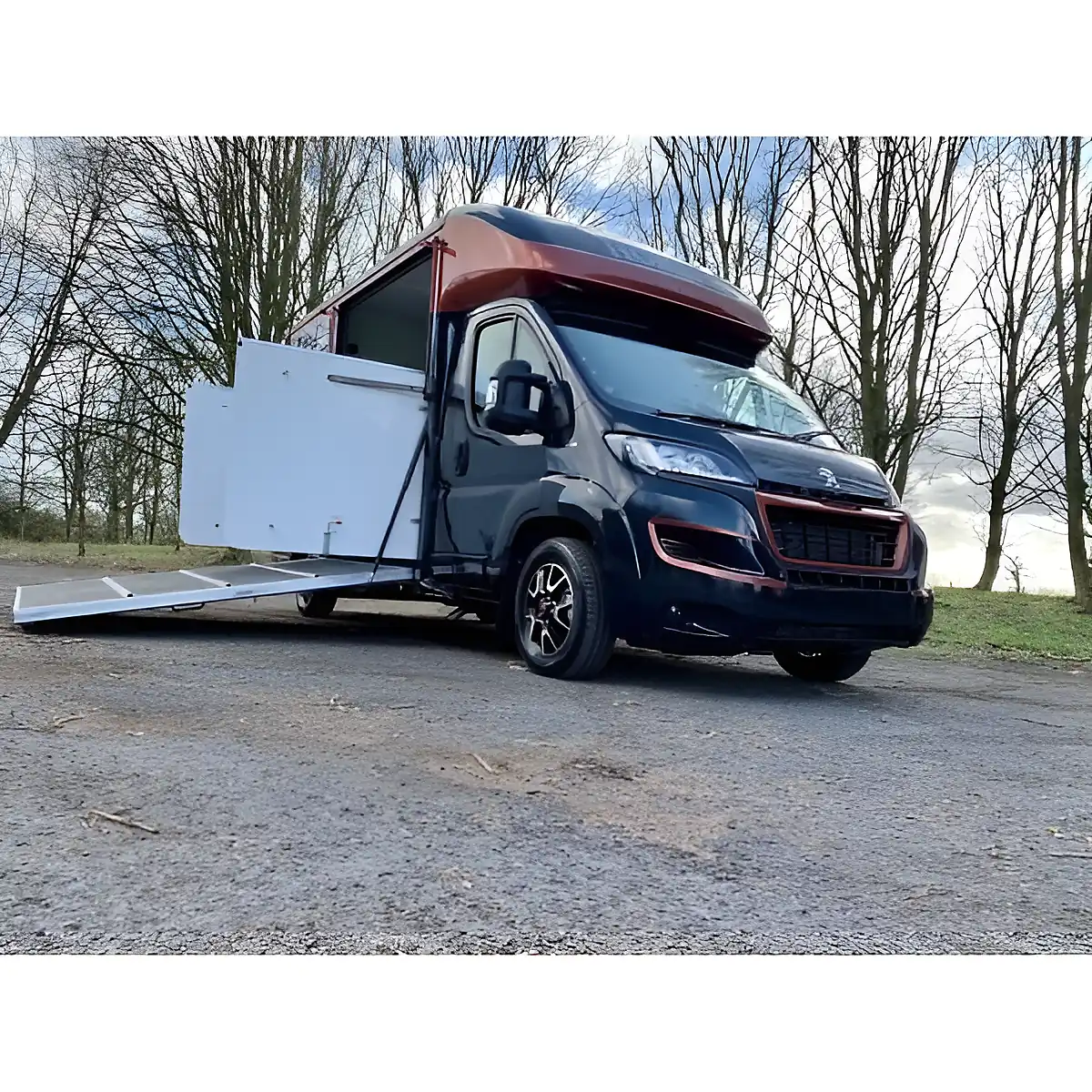 Used 2020 Peugeot Boxer Platform Cab Grey - Interior and Exterior details 5