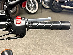 Used 2020 Royal Enfield Bullet Classic Tribute Black - Interior and Exterior details 19