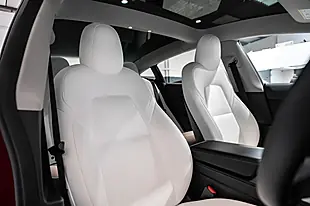 Used 2020 Tesla Model 3 Performance Red - Interior and Exterior details 8