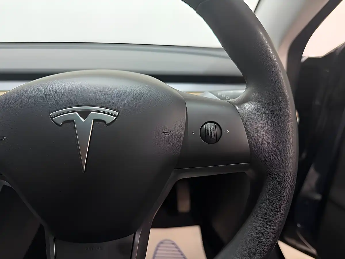 Used 2020 Tesla Model 3 Standard Range Plus Grey - Interior and Exterior details 13