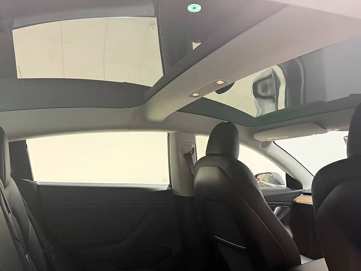 Used 2020 Tesla Model 3 Standard Range Plus Grey - Interior and Exterior details 19