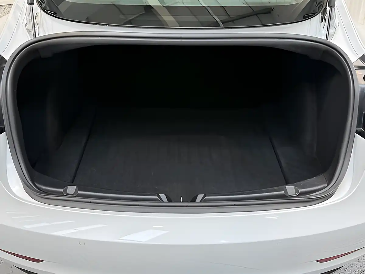 Used 2020 Tesla Model 3 Standard Range Plus Pearl White - Interior and Exterior details 11