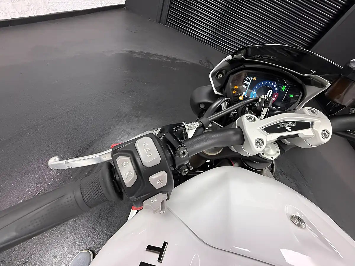 Used 2020 Triumph Speed Triple 1050 S White - Interior and Exterior details 13