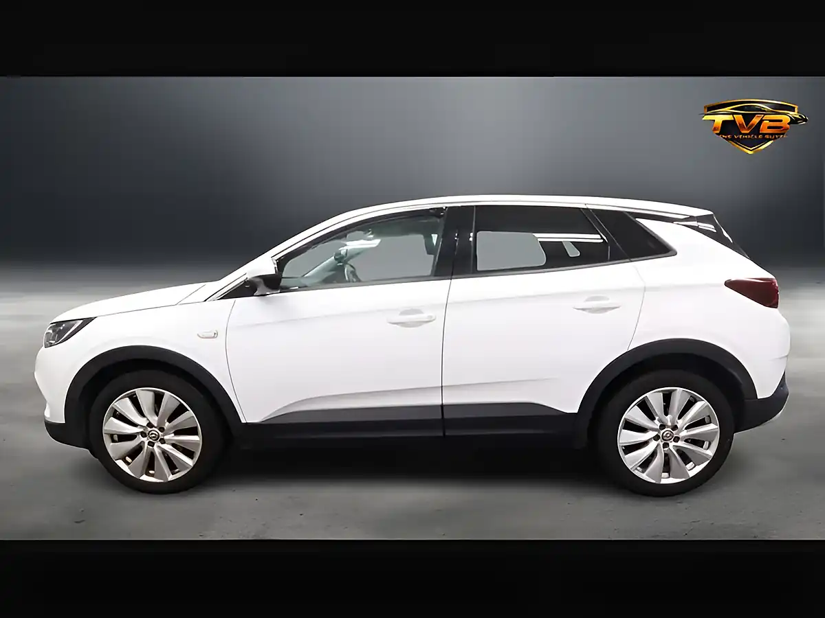 Used 2020 Vauxhall Grandland X Elite Nav Pearl White - Interior and Exterior details 6