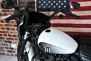 Used 2021 Harley-Davidson Softail Fxbbs Street Bob White - Interior and Exterior details 9