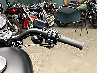 Used 2021 Harley-Davidson Sportster Iron 883 Black - Interior and Exterior details 15