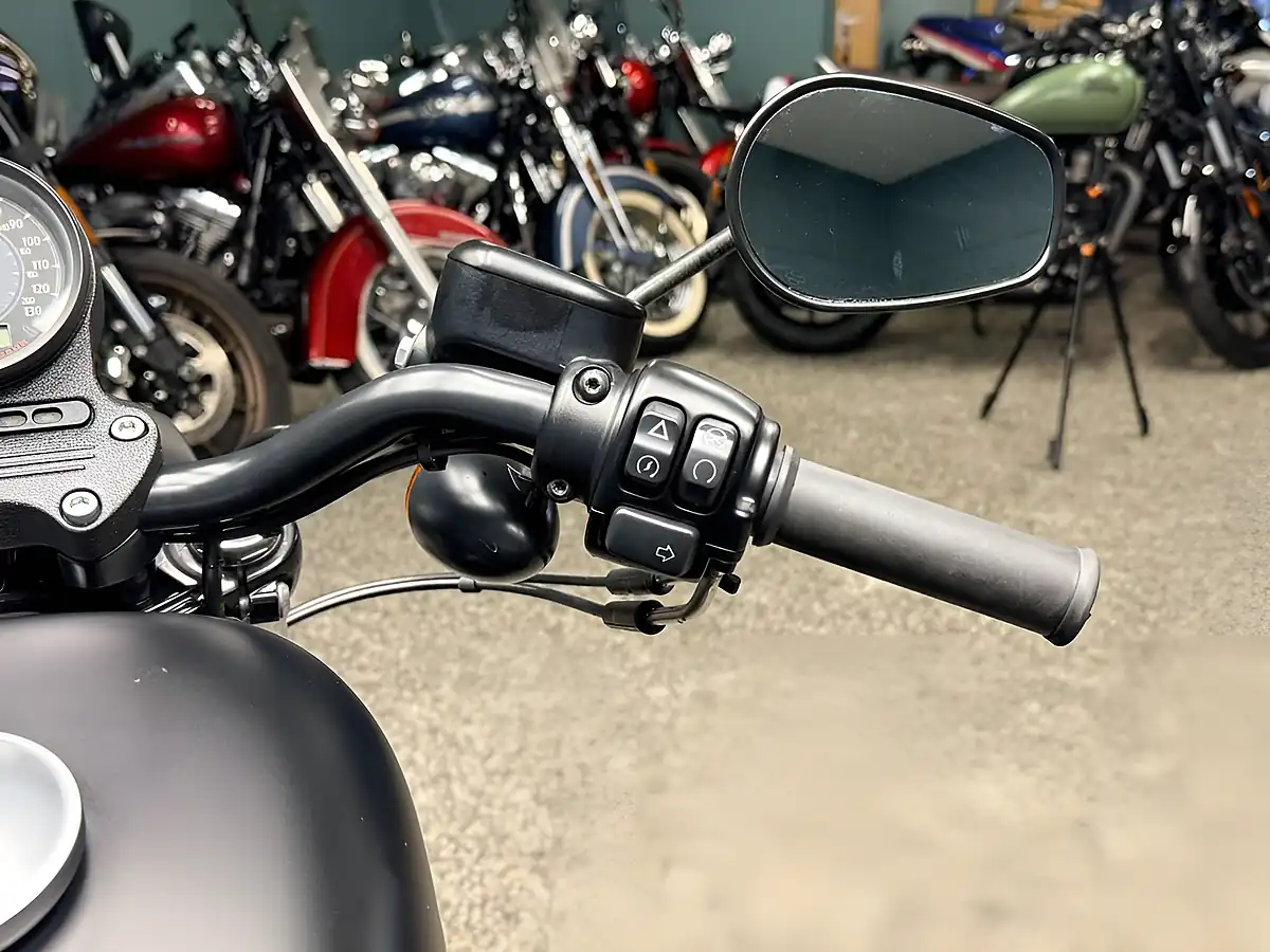 Used 2021 Harley-Davidson Sportster Iron 883 Black - Interior and Exterior details 15