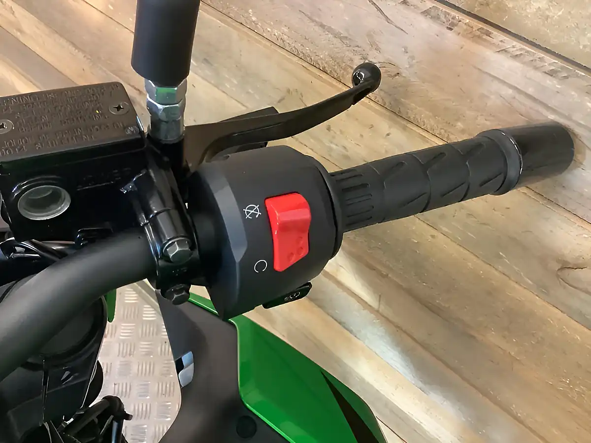 Used 2021 Kawasaki Z Supernaked Green - Interior and Exterior details 13