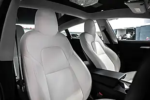 Used 2021 Tesla Model 3 Performance Blue - Interior and Exterior details 7