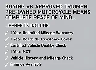 Used 2021 Triumph Speed Triple RS Silver - Interior and Exterior details 3