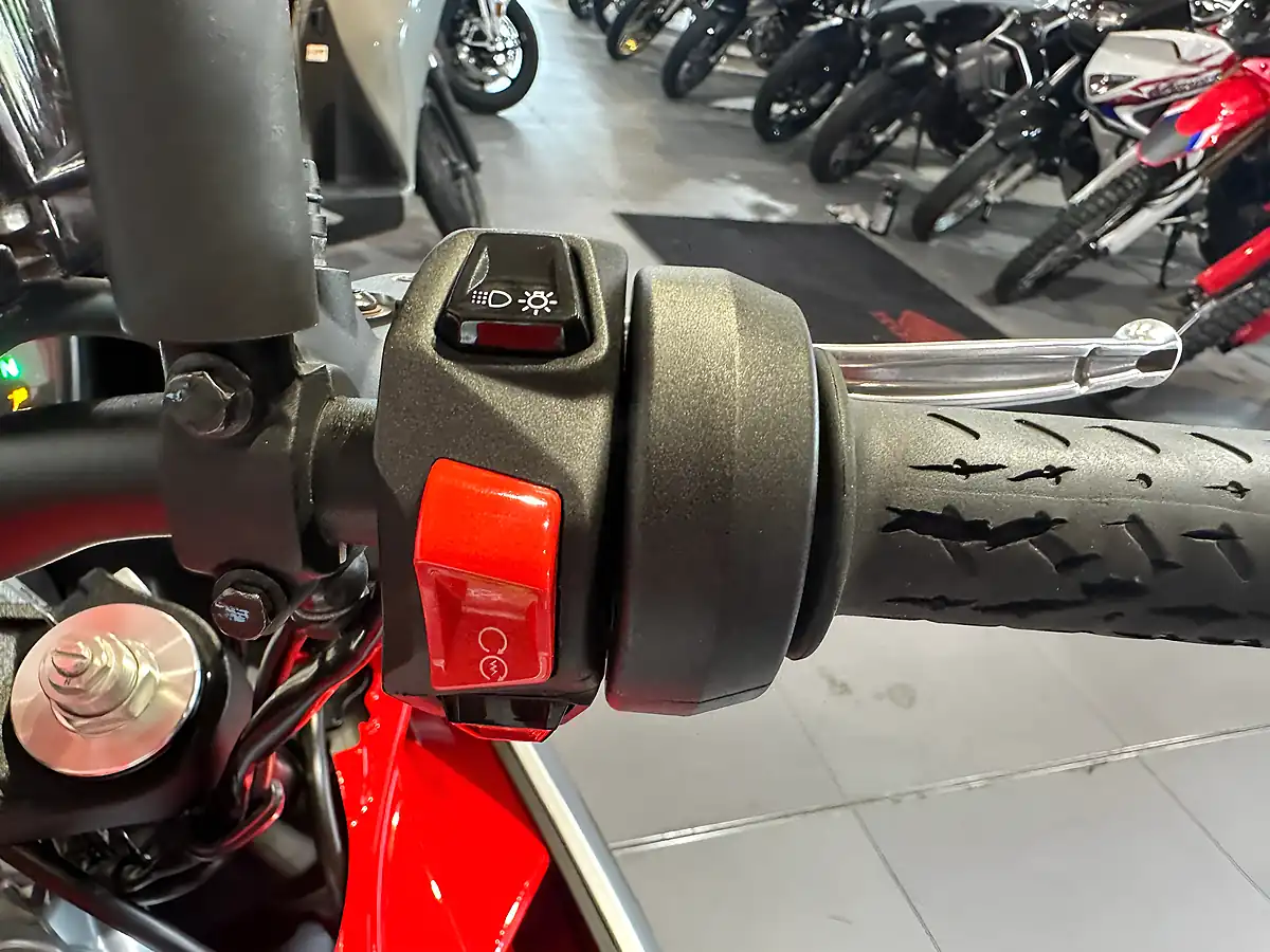 Used 2022 Aprilia Tuono 660 Silver Aluminium Metallic - Interior and Exterior details 11
