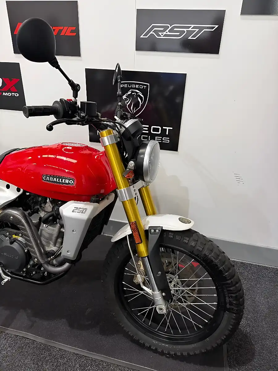Used 2022 Fantic Caballero Scrambler - Interior and Exterior details 2