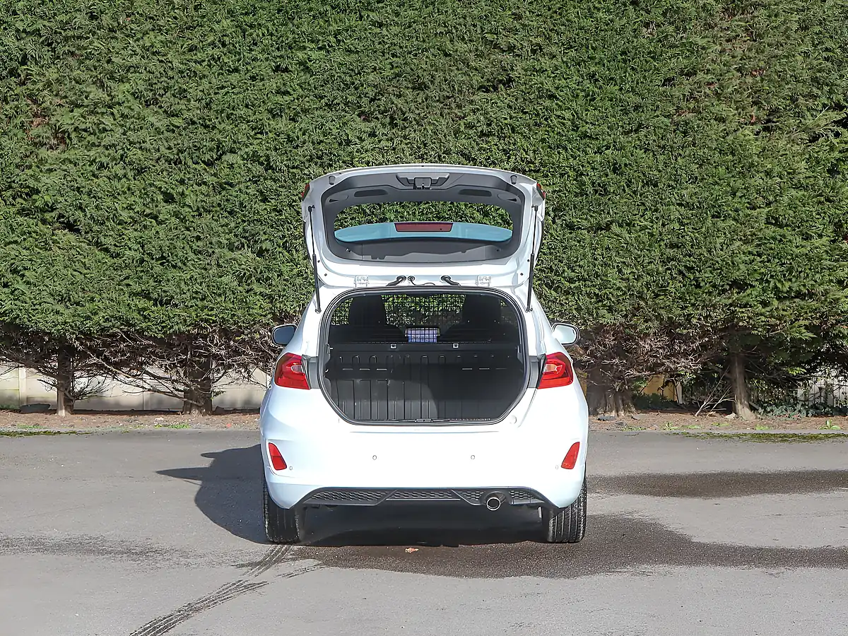 Used 2022 Ford Fiesta Van Sport Van Frozen White - Interior and Exterior details 10