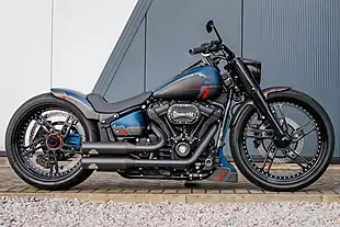 Used 2022 Harley-Davidson Fat Boy Thunderbike Custom Black Dog Matte - Interior and Exterior details 4