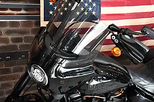 Used 2022 Harley-Davidson Softail Fxlrs Low Rider S Black - Interior and Exterior details 8