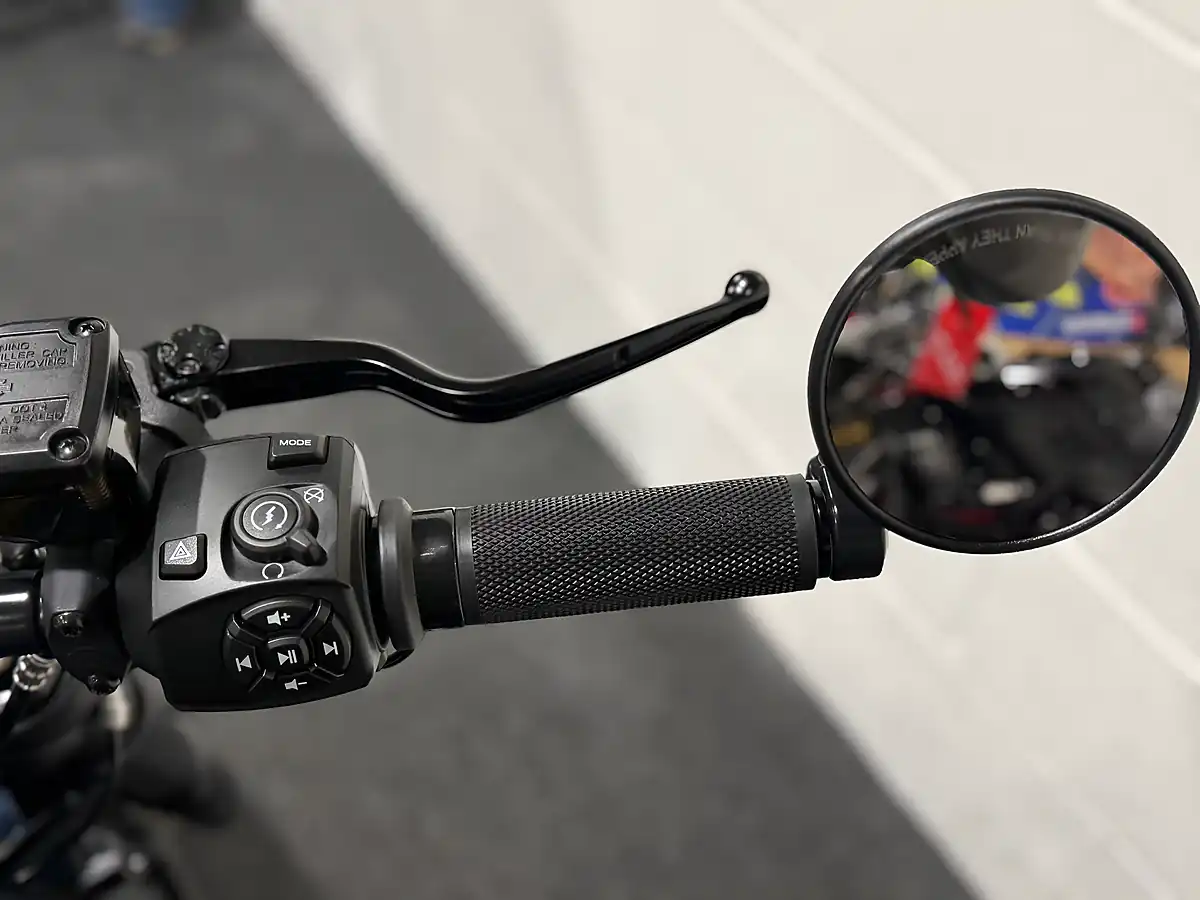 Used 2022 Harley-Davidson Sportster Black - Interior and Exterior details 19