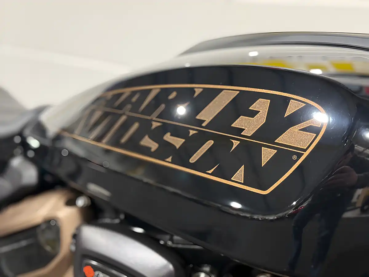 Used 2022 Harley-Davidson Sportster Black - Interior and Exterior details 9