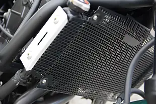 Used 2022 Kawasaki Z650 Modern Classic Green - Interior and Exterior details 15