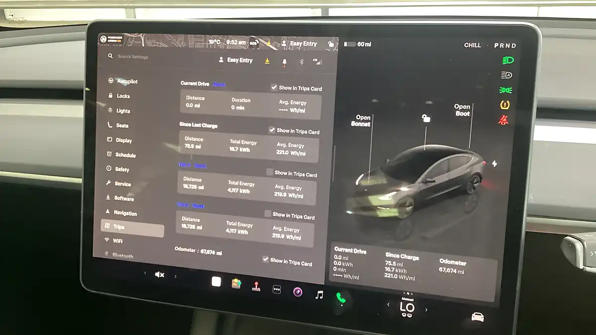 Used 2022 Tesla Model 3 Standard Range Plus Grey - Interior and Exterior details 9
