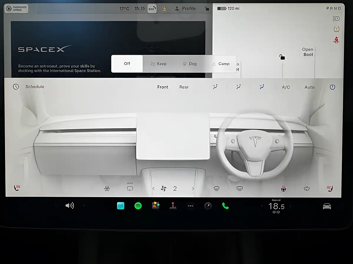 Used 2022 Tesla Model Y Long Range Black - Interior and Exterior details 6