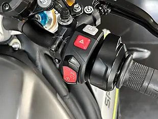 Used 2022 Triumph Speed Triple 1200 RS Silver - Interior and Exterior details 15