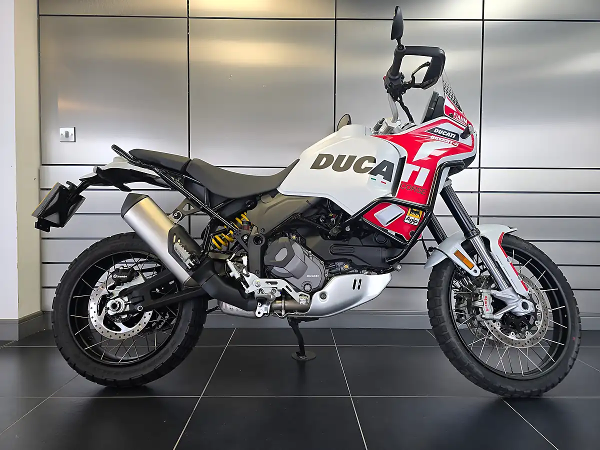 Used 2023 Ducati Desertx White - Front View