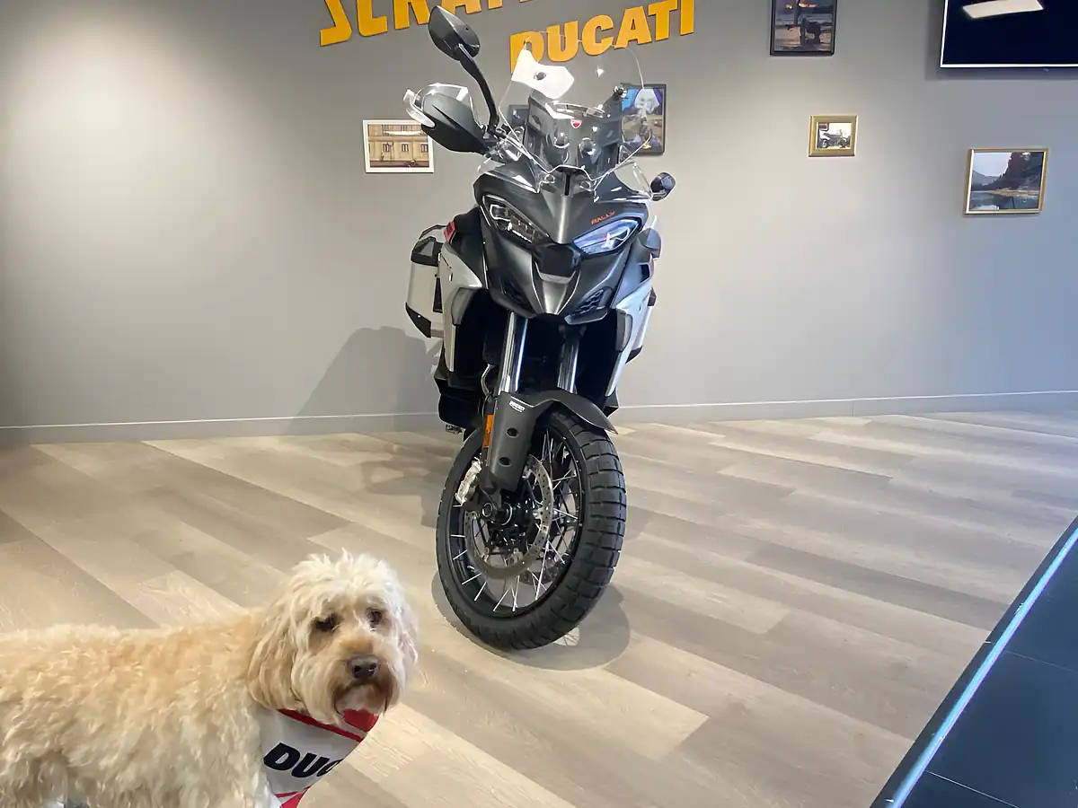 Used 2023 Ducati Multistrada V4 Rally Full Stealth Black/Aluminium - Interior and Exterior details 5