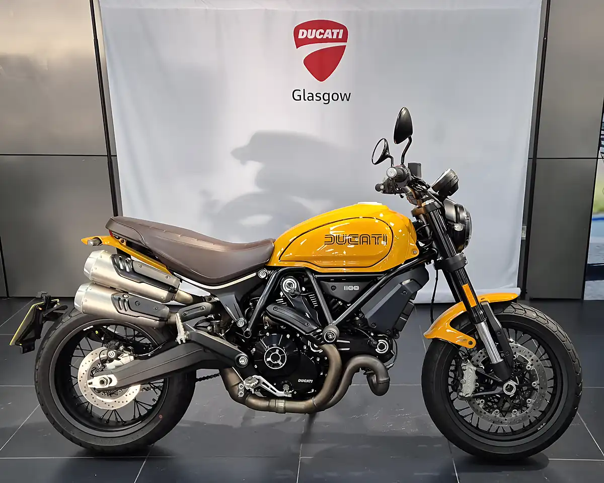 Used 2023 Ducati Scrambler 1100 Tribute Pro Giallo Orca - Front View