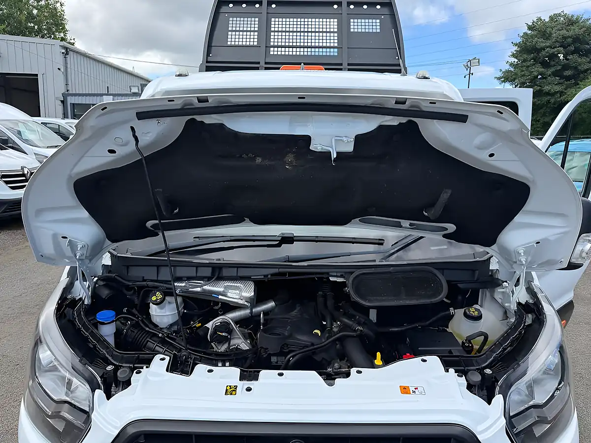 Used 2023 Ford Transit Leader Double Cab Tipper White - Interior and Exterior details 20