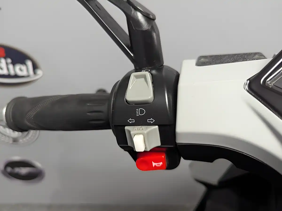 Used 2023 Lexmoto Diablo Grey/Black - Interior and Exterior details 18