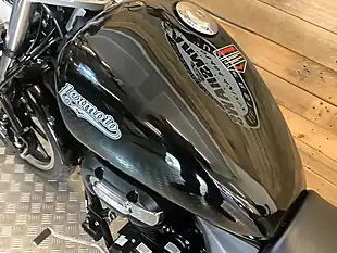 Used 2023 Lexmoto Michigan Black - Interior and Exterior details 10