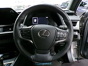 Used 2023 Lexus Ux F Sport Design Silver - Interior and Exterior details 14