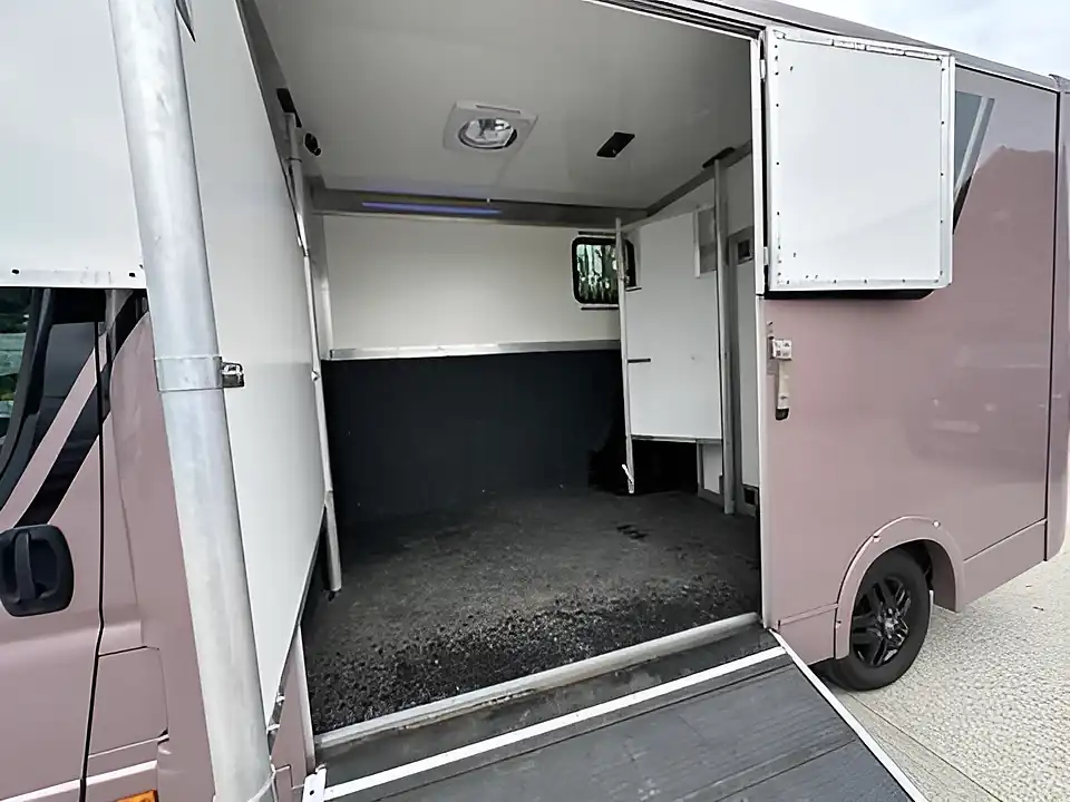 Used 2023 Peugeot Boxer 435 Pro Stallion Partition Horsebox White - Interior and Exterior details 8