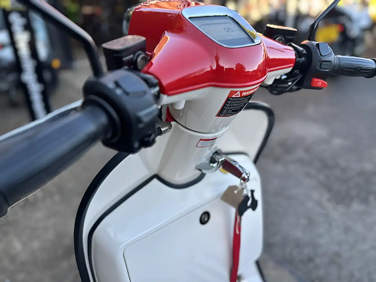 Used 2023 Royal Alloy Tg 125 Lc Burgundy/Ivory - Interior and Exterior details 17