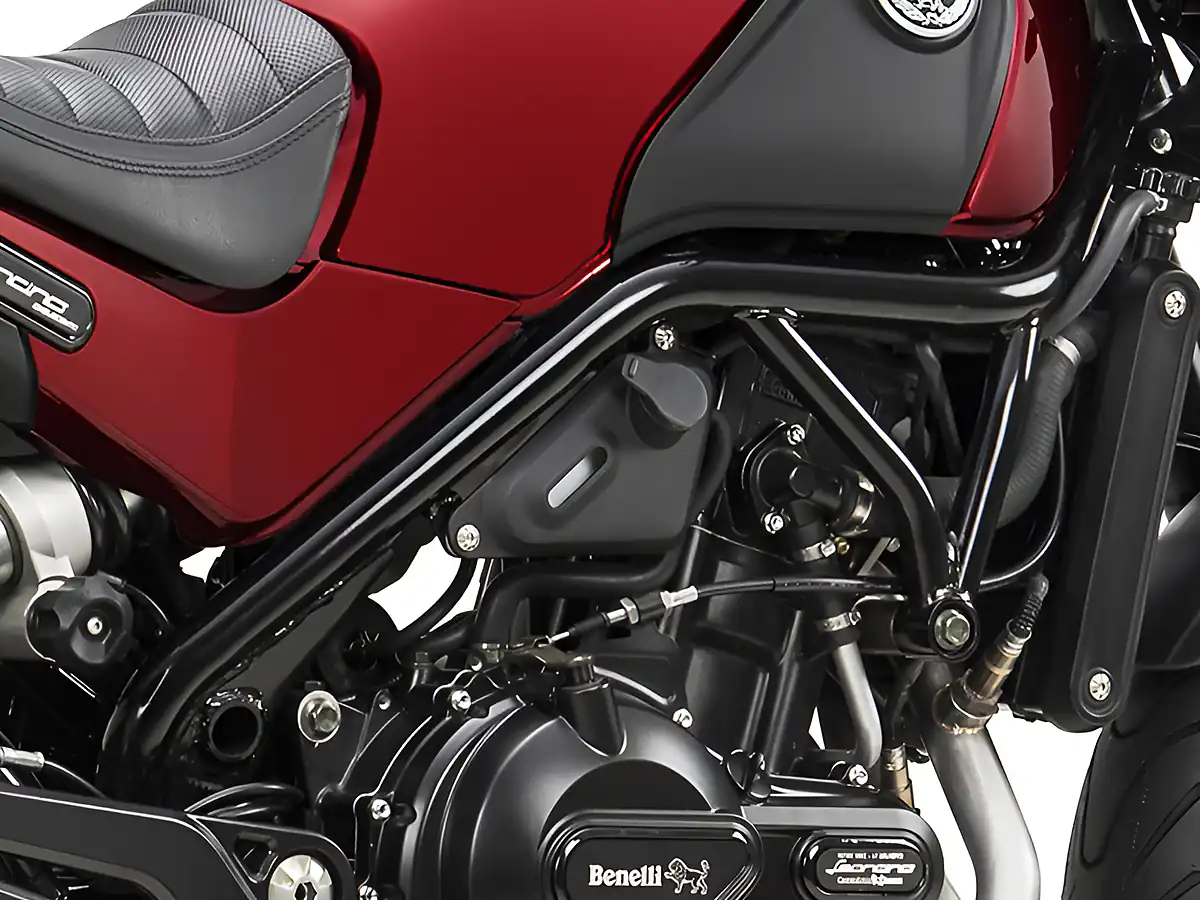 Used 2024 Benelli Leoncino 500 Black Black - Interior and Exterior details 8