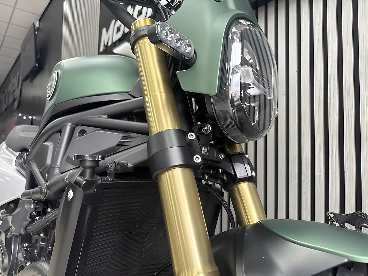Used 2024 Benelli Leoncino 800 Trail Green - Interior and Exterior details 3