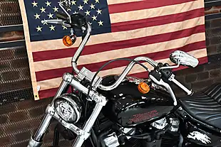 Used 2024 Harley-Davidson Softail Standard Black - Interior and Exterior details 13