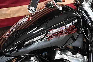 Used 2024 Harley-Davidson Softail Standard Black - Interior and Exterior details 2